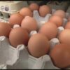 Crisis de huevos en Arizona: ¿a qué se debe el elevado costo de este alimento en el estado?